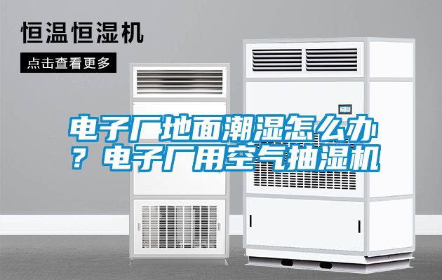 電子廠地面潮濕怎么辦？電子廠用空氣抽濕機(jī)