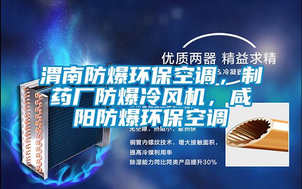 渭南防爆環(huán)?？照{(diào)，制藥廠防爆冷風(fēng)機(jī)，咸陽防爆環(huán)?？照{(diào)