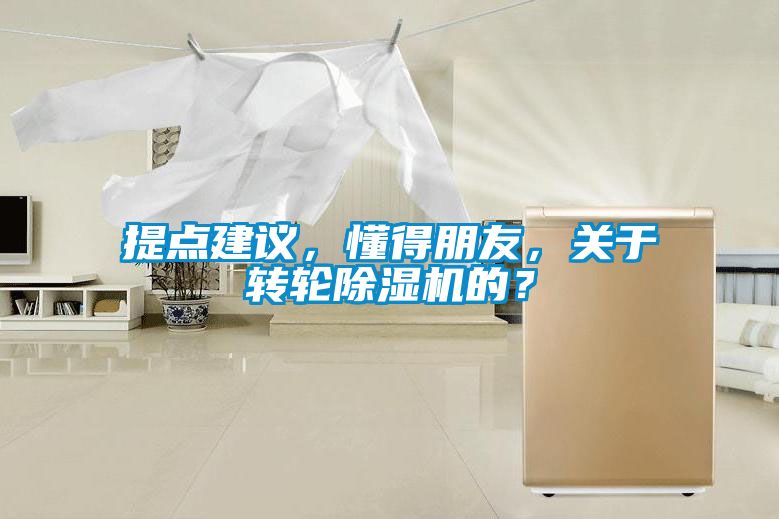 提點(diǎn)建議，懂得朋友，關(guān)于轉(zhuǎn)輪除濕機(jī)的？