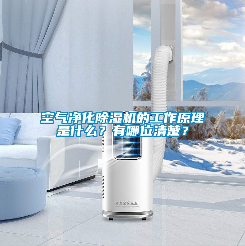空氣凈化除濕機的工作原理是什么？有哪位清楚？