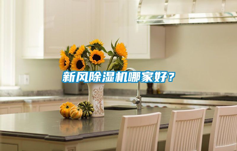 新風除濕機哪家好？