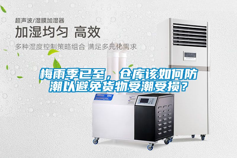 梅雨季已至，倉庫該如何防潮以避免貨物受潮受損？