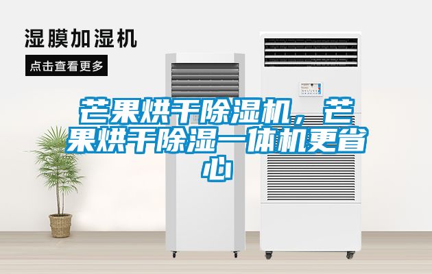 芒果烘干除濕機(jī)，芒果烘干除濕一體機(jī)更省心
