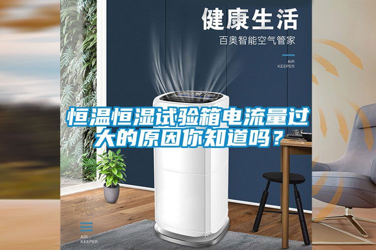 恒溫恒濕試驗(yàn)箱電流量過大的原因你知道嗎？