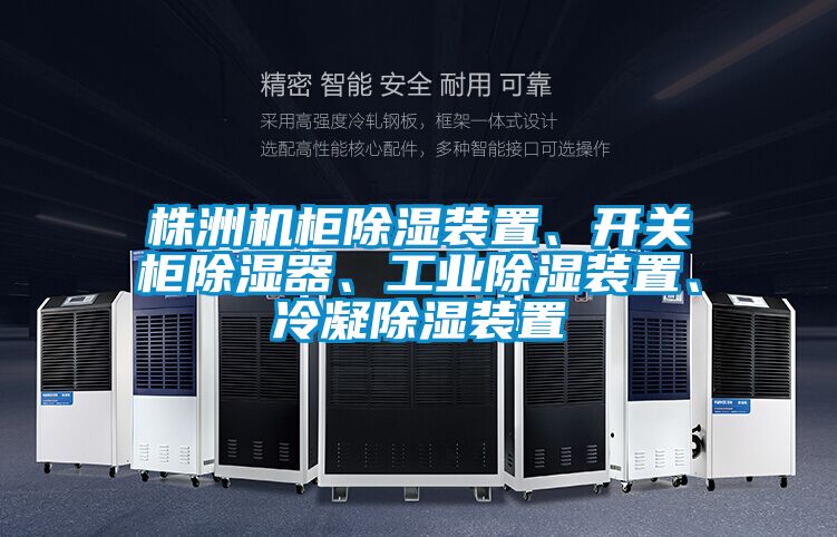 株洲機(jī)柜除濕裝置、開關(guān)柜除濕器、工業(yè)除濕裝置、冷凝除濕裝置