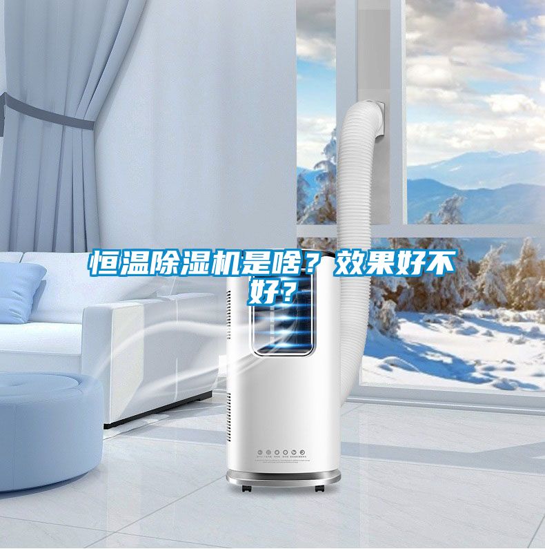 恒溫除濕機(jī)是啥？效果好不好？