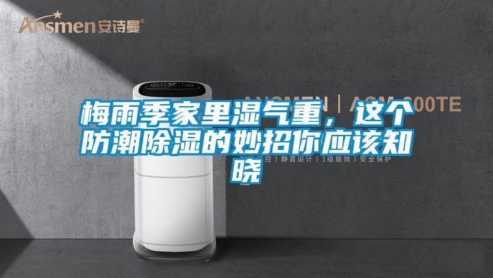 梅雨季家里濕氣重，這個防潮除濕的妙招你應(yīng)該知曉