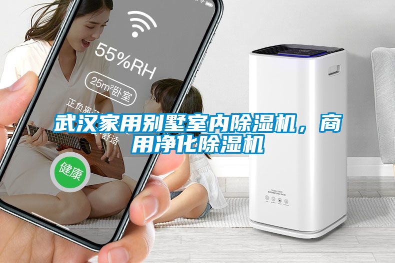 武漢家用別墅室內(nèi)除濕機(jī)，商用凈化除濕機(jī)