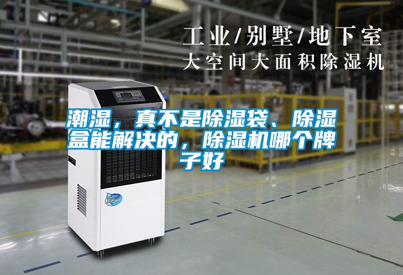 潮濕，真不是除濕袋、除濕盒能解決的，除濕機(jī)哪個牌子好