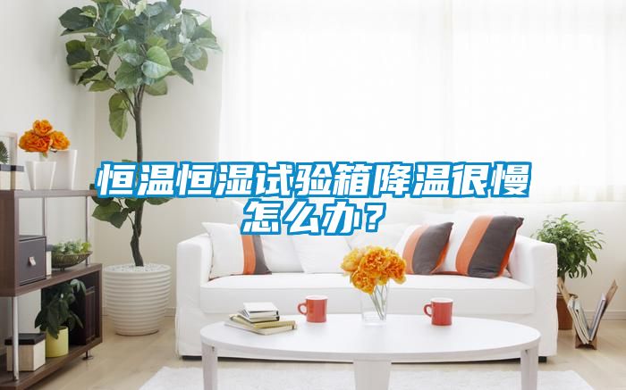 恒溫恒濕試驗(yàn)箱降溫很慢怎么辦？