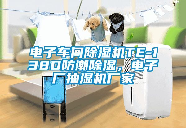 電子車間除濕機TE-138D防潮除濕，電子廠抽濕機廠家