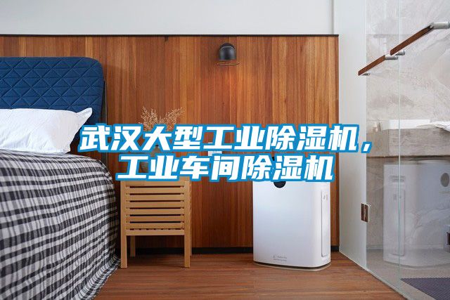 武漢大型工業(yè)除濕機(jī)，工業(yè)車間除濕機(jī)