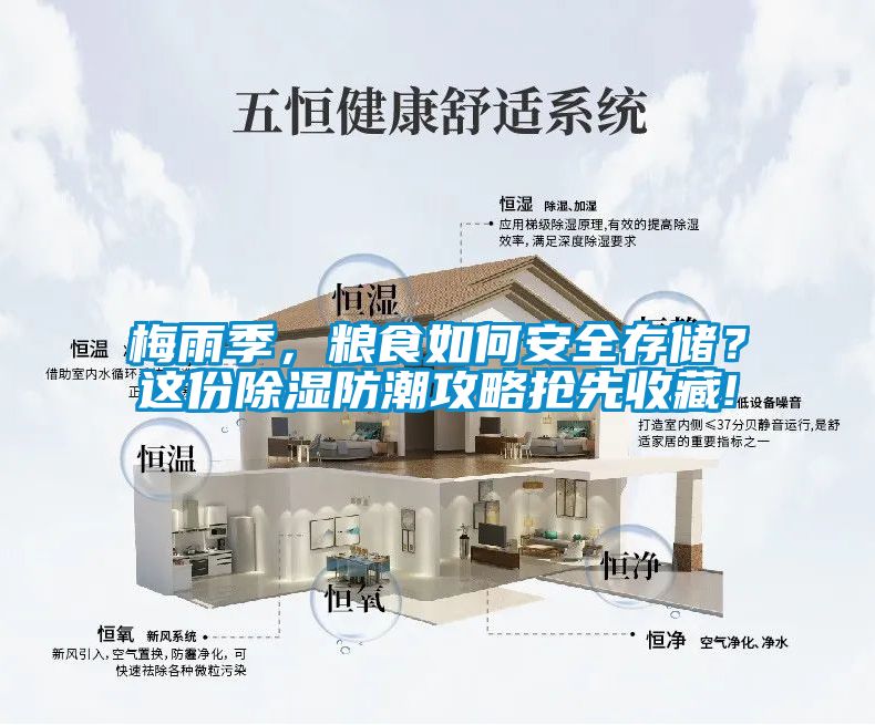 梅雨季，糧食如何安全存儲？這份除濕防潮攻略搶先收藏!