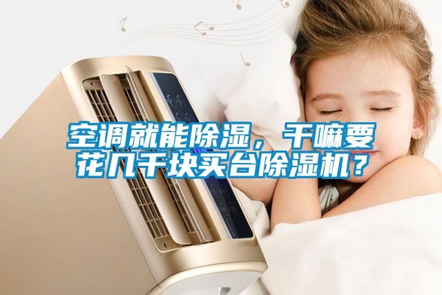 空調(diào)就能除濕，干嘛要花幾千塊買臺除濕機(jī)？