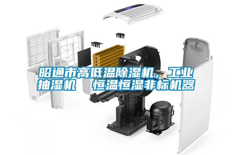 昭通市高低溫除濕機(jī)，工業(yè)抽濕機(jī)  恒溫恒濕非標(biāo)機(jī)器