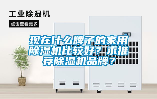 現(xiàn)在什么牌子的家用除濕機(jī)比較好？求推薦除濕機(jī)品牌？