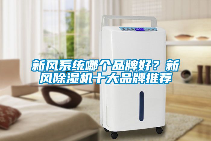 新風(fēng)系統(tǒng)哪個(gè)品牌好？新風(fēng)除濕機(jī)十大品牌推薦