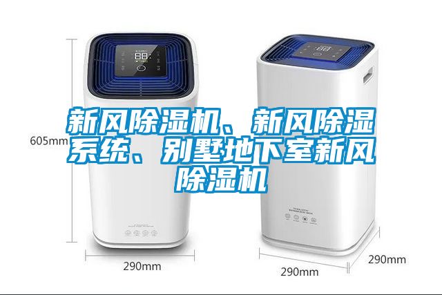 新風(fēng)除濕機(jī)、新風(fēng)除濕系統(tǒng)、別墅地下室新風(fēng)除濕機(jī)