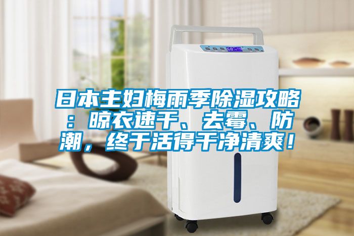日本主婦梅雨季除濕攻略：晾衣速干、去霉、防潮，終于活得干凈清爽！