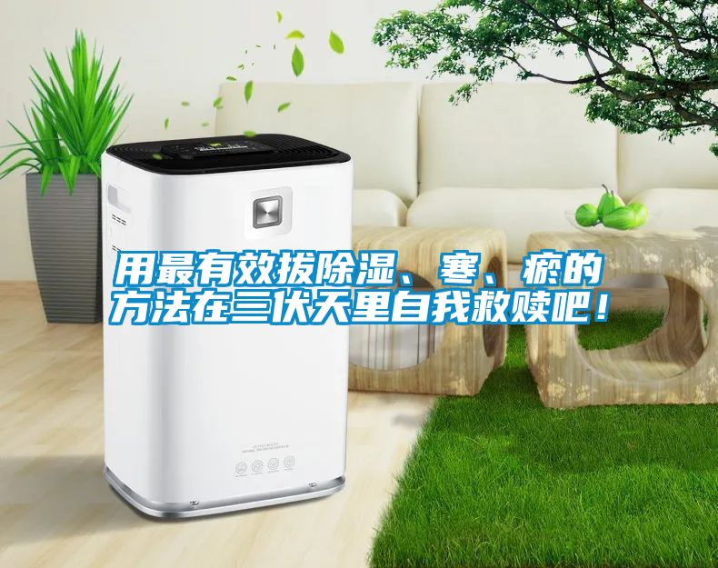 用最有效拔除濕、寒、瘀的方法在三伏天里自我救贖吧！