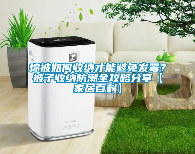 棉被如何收納才能避免發(fā)霉？被子收納防潮全攻略分享【家居百科】