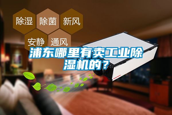 浦東哪里有賣工業(yè)除濕機的？
