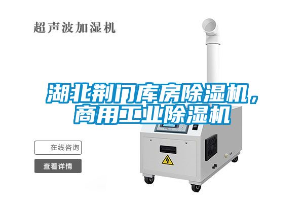 湖北荊門庫房除濕機(jī)，商用工業(yè)除濕機(jī)