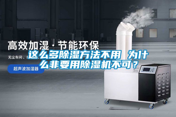 這么多除濕方法不用 為什么非要用除濕機(jī)不可？