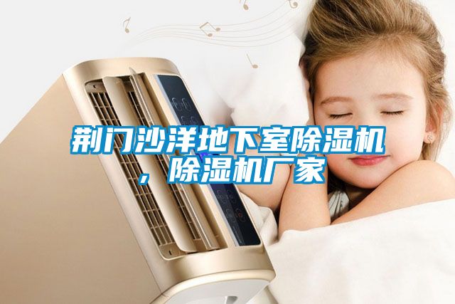 荊門(mén)沙洋地下室除濕機(jī)，除濕機(jī)廠家