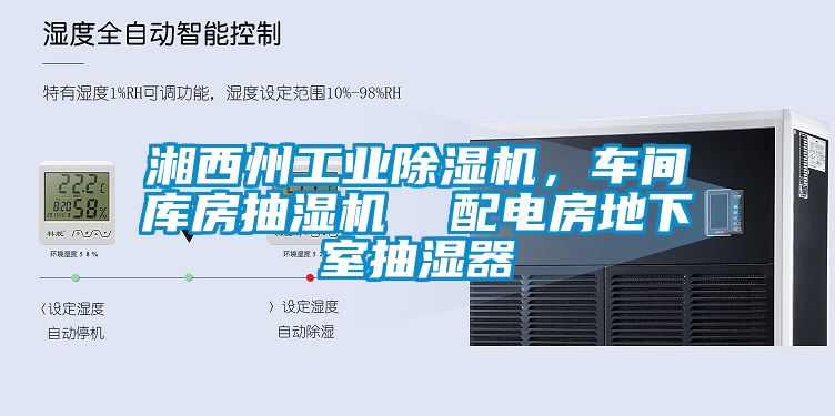 湘西州工業(yè)除濕機(jī)，車間庫房抽濕機(jī)  配電房地下室抽濕器