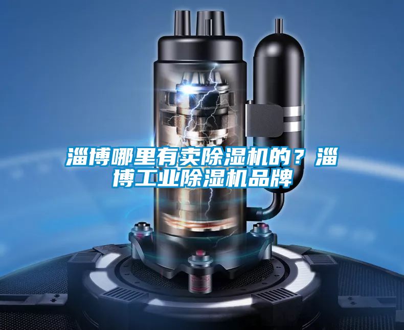 淄博哪里有賣除濕機的？淄博工業(yè)除濕機品牌