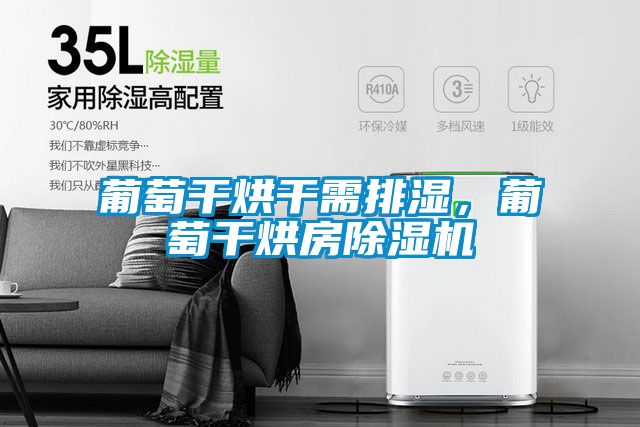 葡萄干烘干需排濕，葡萄干烘房除濕機
