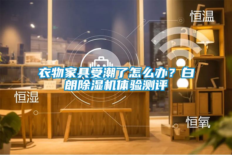 衣物家具受潮了怎么辦？白朗除濕機(jī)體驗(yàn)測評(píng)