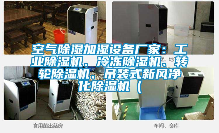 空氣除濕加濕設(shè)備廠家：工業(yè)除濕機(jī)、冷凍除濕機(jī)、轉(zhuǎn)輪除濕機(jī)、吊裝式新風(fēng)凈化除濕機(jī)（