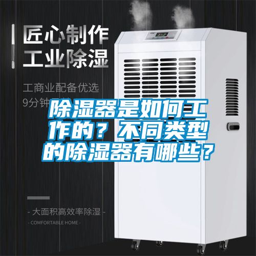 除濕器是如何工作的？不同類型的除濕器有哪些？