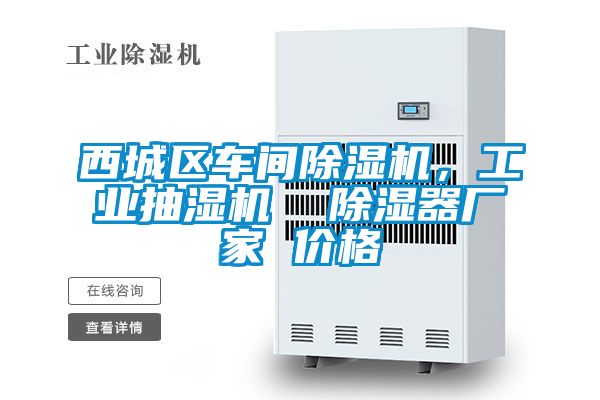 西城區(qū)車間除濕機，工業(yè)抽濕機  除濕器廠家 價格