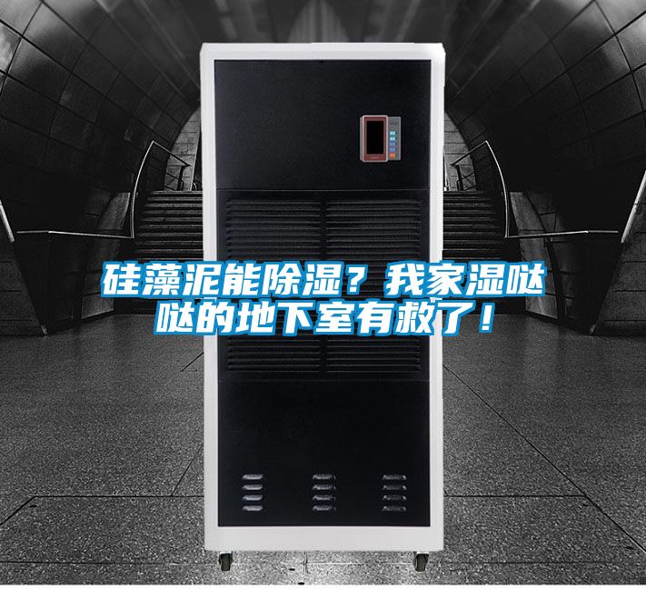 硅藻泥能除濕？我家濕噠噠的地下室有救了！