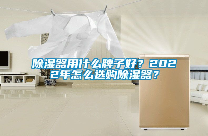 除濕器用什么牌子好？2022年怎么選購除濕器？