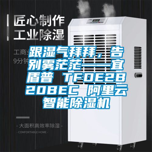 跟濕氣拜拜，告別霧茫茫——宜盾普 TFDE2B20BEC 阿里云智能除濕機(jī)