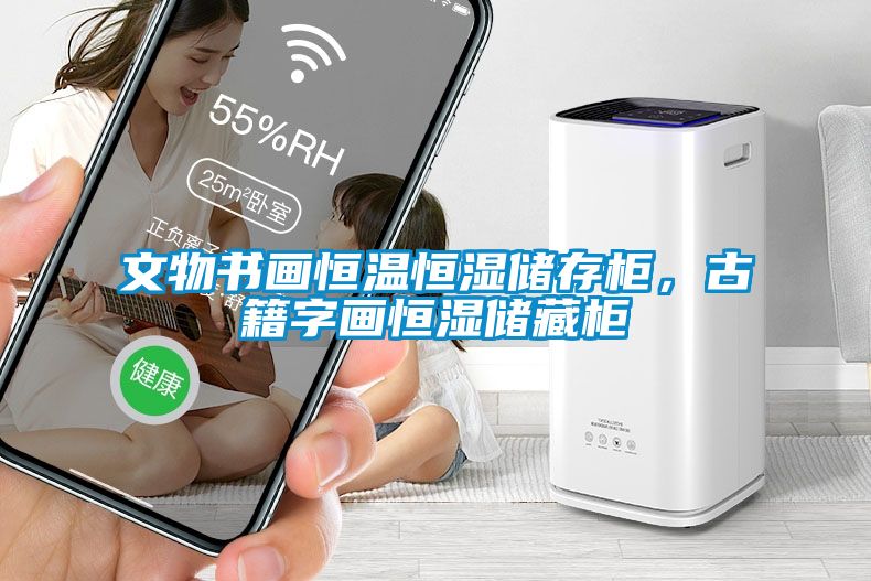 文物書畫恒溫恒濕儲存柜，古籍字畫恒濕儲藏柜