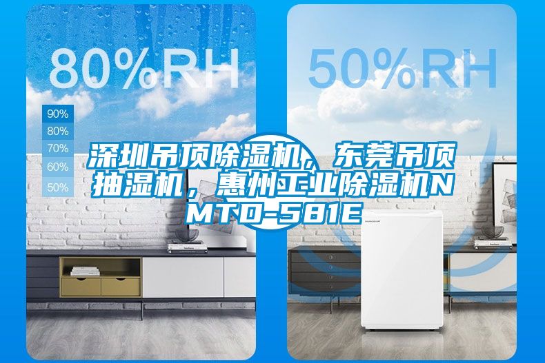 深圳吊頂除濕機(jī)，東莞吊頂抽濕機(jī)，惠州工業(yè)除濕機(jī)NMTD-581E