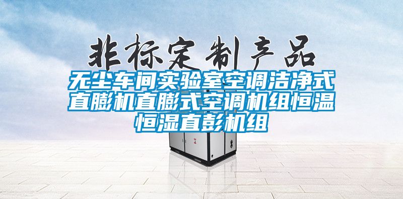 無塵車間實(shí)驗室空調(diào)潔凈式直膨機(jī)直膨式空調(diào)機(jī)組恒溫恒濕直彭機(jī)組