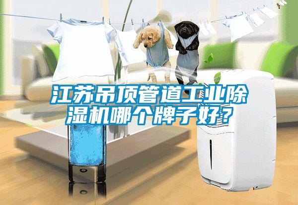 江蘇吊頂管道工業(yè)除濕機(jī)哪個(gè)牌子好？