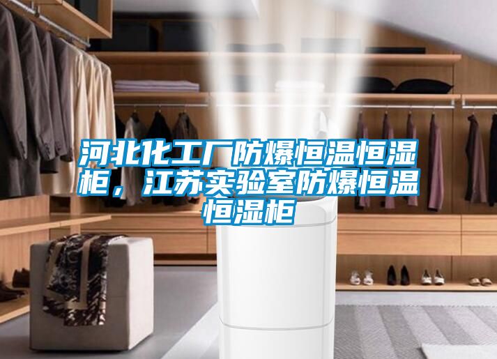 河北化工廠防爆恒溫恒濕柜，江蘇實(shí)驗(yàn)室防爆恒溫恒濕柜