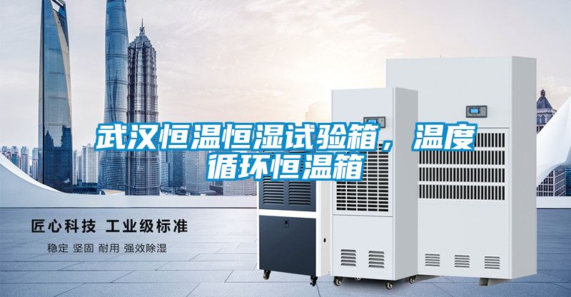 武漢恒溫恒濕試驗(yàn)箱，溫度循環(huán)恒溫箱