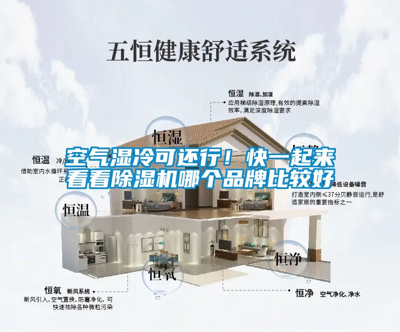 空氣濕冷可還行！快一起來看看除濕機(jī)哪個(gè)品牌比較好