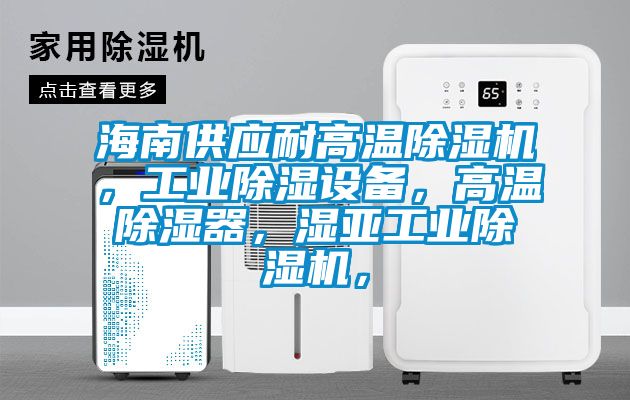 海南供應(yīng)耐高溫除濕機(jī)，工業(yè)除濕設(shè)備，高溫除濕器，濕亞工業(yè)除濕機(jī)，