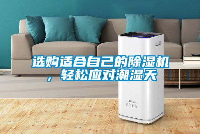 選購適合自己的除濕機(jī)，輕松應(yīng)對(duì)潮濕天