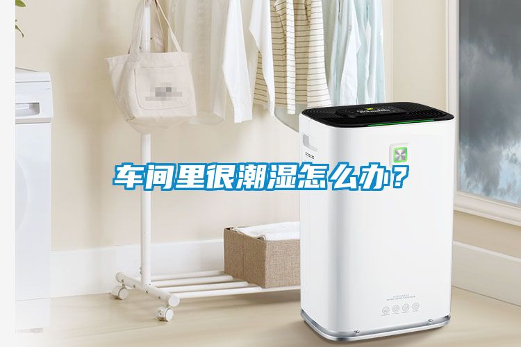 車間里很潮濕怎么辦？