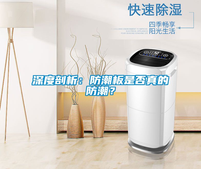 深度剖析：防潮板是否真的防潮？